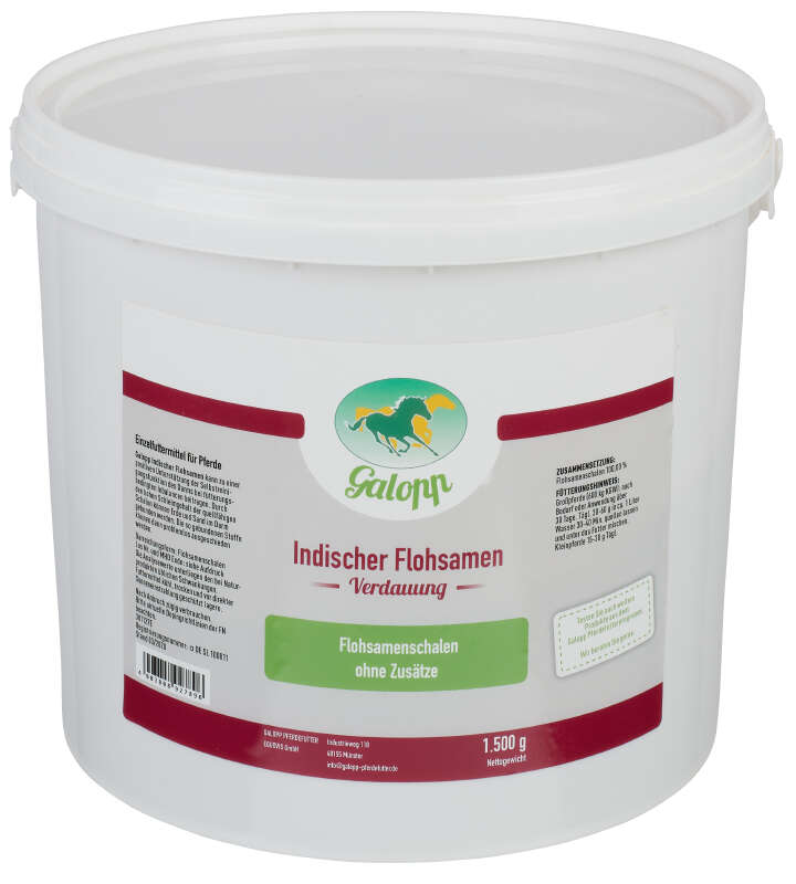 Galopp Indischer Flohsamen